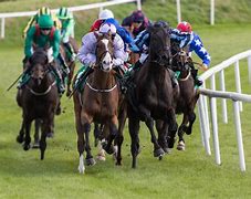 Image result for Old Horse Racing SATs