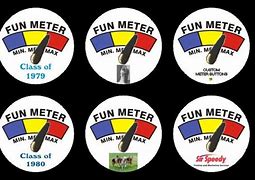 Image result for Fun Meter Pin