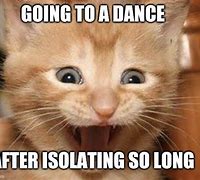 Image result for Excited Cat Meme