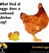 Image result for Laying Egg Meme