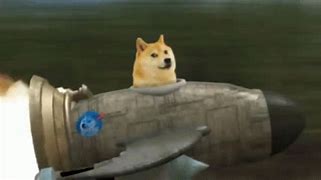 Image result for Flying Doge Meme