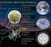 Image result for Brain Universe Poster
