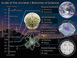 Image result for The Universe Similar to the Brain
