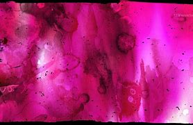 Image result for Pink Grunge Background for Computer