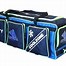 Image result for Cricket Kit Bag and Players