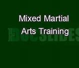 Image result for Mixed Martial Arts Underground