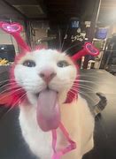 Image result for Cat Valentine Tongue