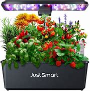 Image result for Flower Pods Lights