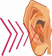 Image result for Ear Clip Art Transparent