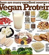 Image result for Vegan vs Vegetarian Sign