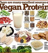 Image result for Protein Only Foods