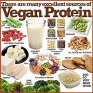 Image result for Protein Alternatives for Vegetarians