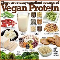Image result for Vegan vs Vegetarian Definition