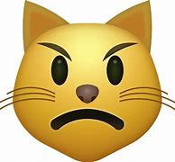Image result for Crazy Cat Emoji