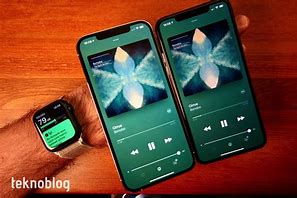 Image result for iPhone 11 Pro vs Max