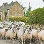 Image result for English Country Cottage Vibe