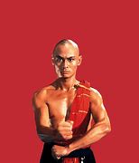 Image result for Styles of Kung Fu