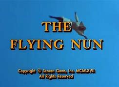 Image result for Funny Flying Nun