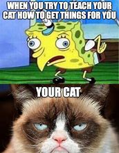 Image result for Grumpy Cat Memes Spongebob