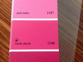 Image result for Hot Pink Paint Colors
