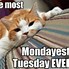 Image result for Tomorrow Is Tuesday Meme