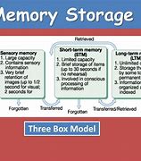 Image result for Memory Storage Model Teaching