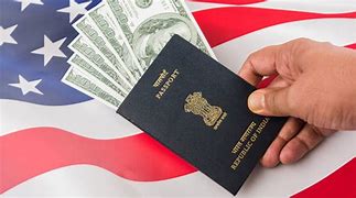 Image result for Visa Definition