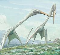 Image result for Biggest Air Dinosaur