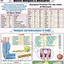 Image result for Weights and Measures Conversion Chart Printable