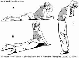 Image result for Pregnancy Low Back Pain Exercises