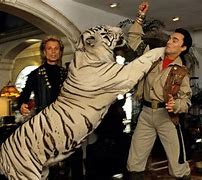 Image result for Mauled by a Tiger