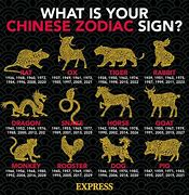 Image result for Chinese New Year Zodiac Animals