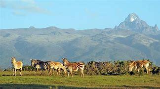 Image result for Mount Kenya