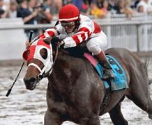 Image result for Race Horse Cruelty