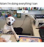 Image result for Office Dog Meme