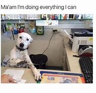 Image result for Office Work Fail Funny Memes