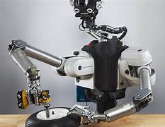 Image result for Autonomous Service Robots