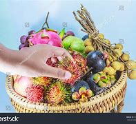 Image result for Hand Picking Fruit