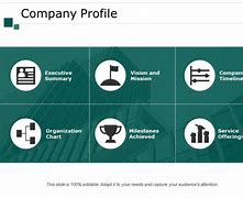 Image result for Example of a Business Profile