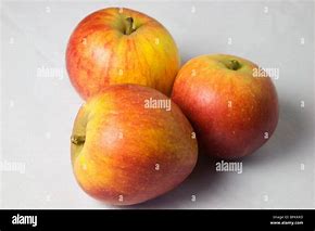 Image result for English Cox Apple's
