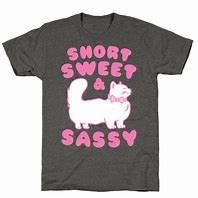 Image result for Sassy T-Shirts for Women