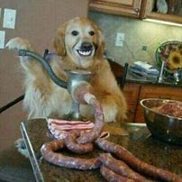Image result for Dog Making Sausages Cursed Image