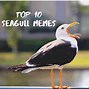 Image result for Buff Seagull Meme