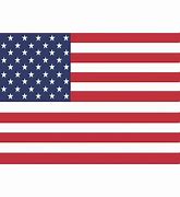 Image result for Mini US Flag Icon