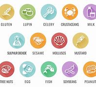 Image result for Types of Food Allergy