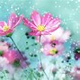 Image result for Cute Flower Desktop