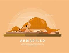 Image result for Armadillo Silhouette SVG