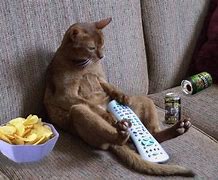 Image result for Couch Meme