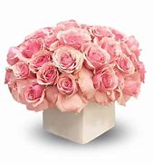 Image result for 4 Dozen Hot Pink Roses