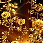 Image result for Gold Rose No Background
